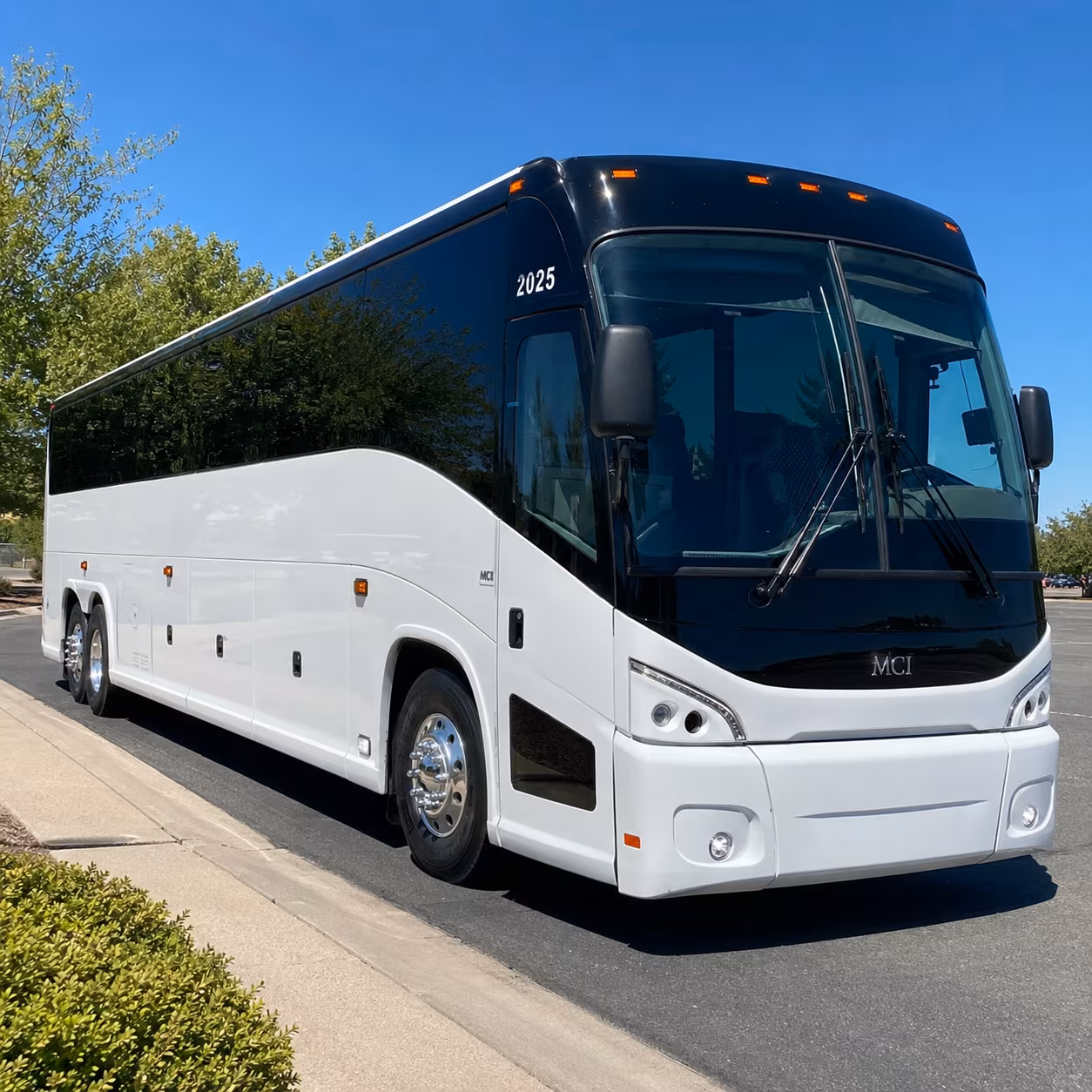 youth group trips retreats and summer camp transportation from petaluma